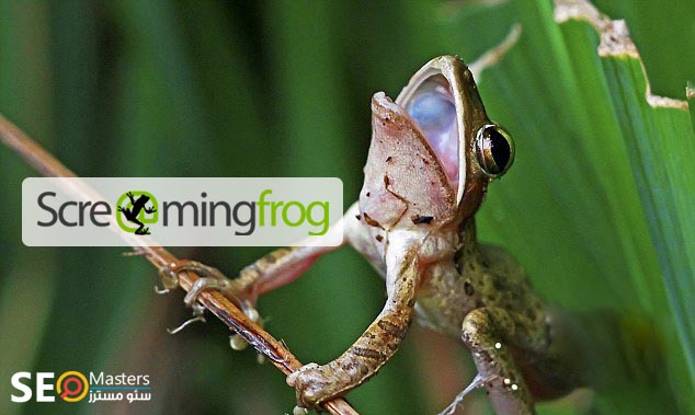دانلود دوره آموزش تخصصی screaming frog seo spider